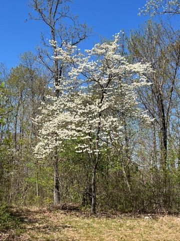 31797 State Highway 76, Norwood, MO 65717