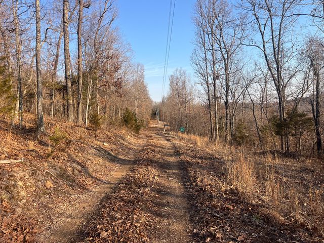 31797 State Highway 76, Norwood, MO 65717