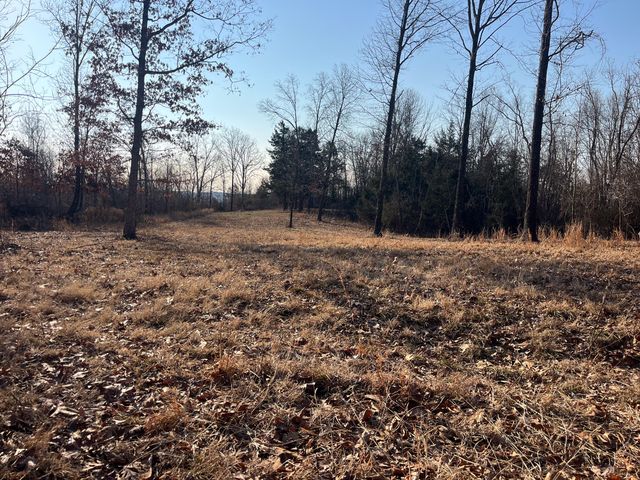 31797 State Highway 76, Norwood, MO 65717