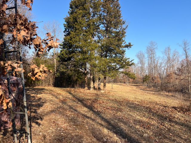 31797 State Highway 76, Norwood, MO 65717