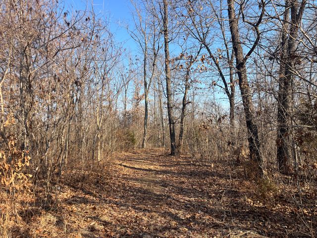 31797 State Highway 76, Norwood, MO 65717