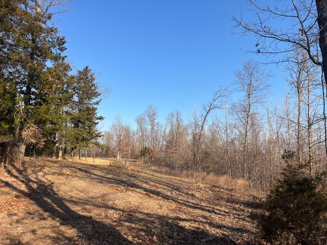 31797 State Highway 76, Norwood, MO 65717