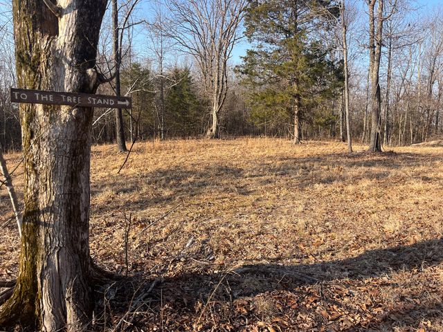 31797 State Highway 76, Norwood, MO 65717