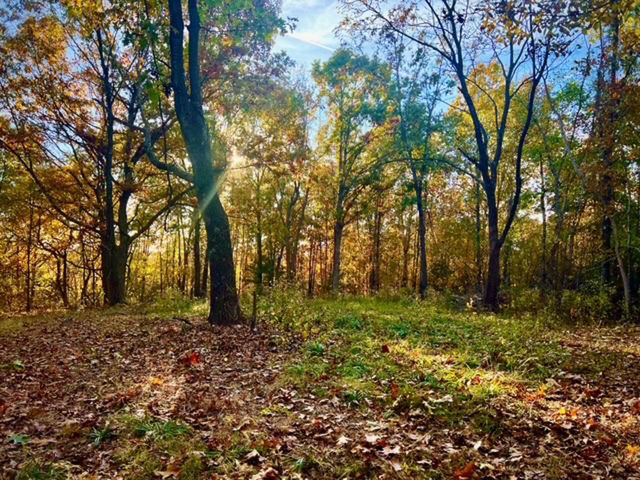 31797 State Highway 76, Norwood, MO 65717