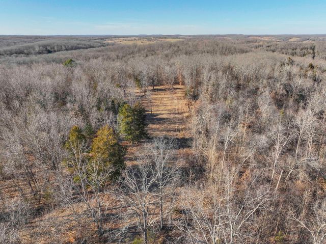 31797 State Highway 76, Norwood, MO 65717