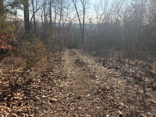 31797 State Highway 76, Norwood, MO 65717