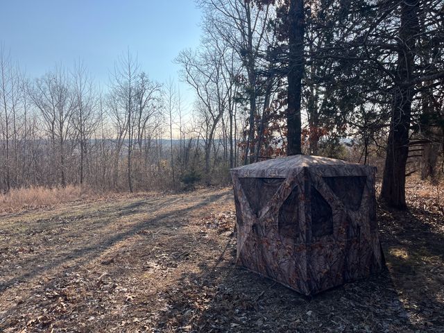 31797 State Highway 76, Norwood, MO 65717