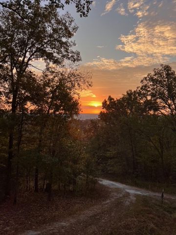 31797 State Highway 76, Norwood, MO 65717