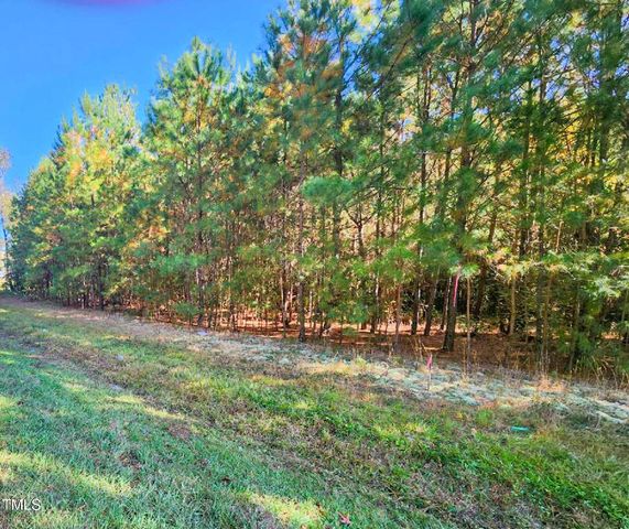 Tract 1a Abattoir Road, Coats, NC 27521