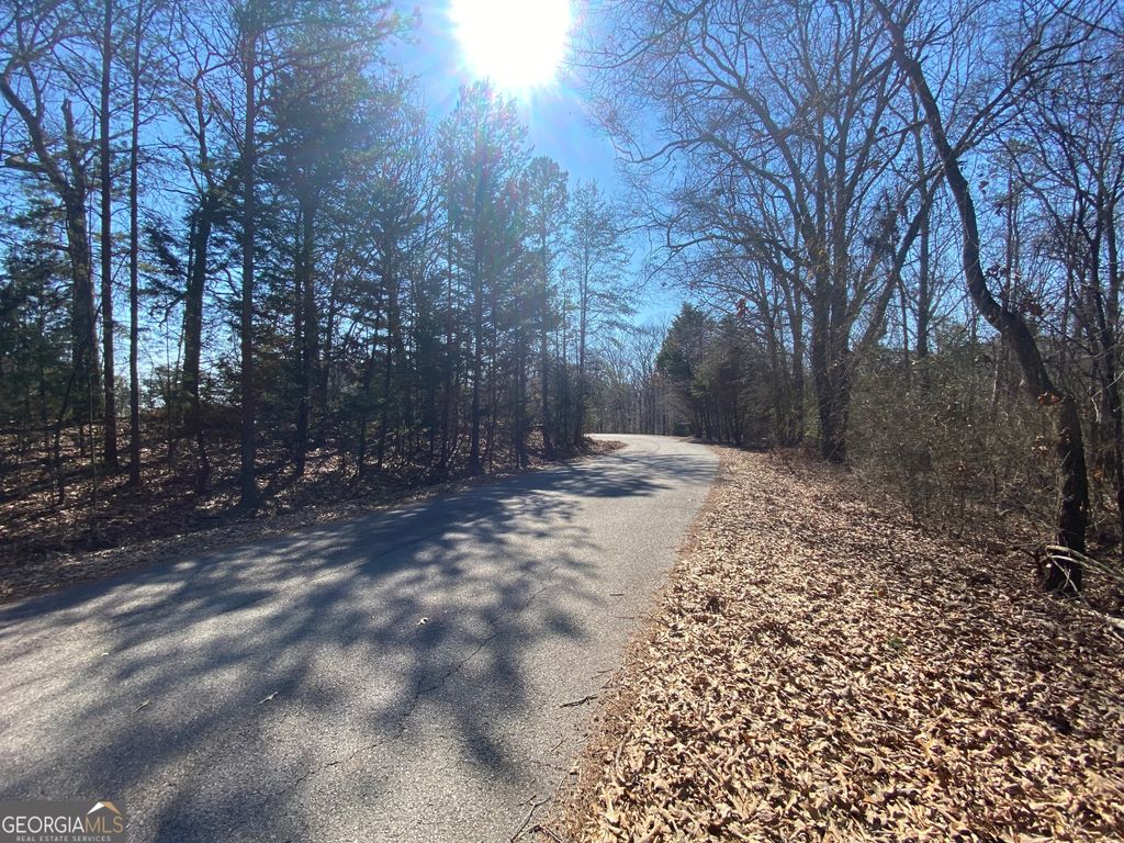 LOT 5 Majestic Shores Road, Hartwell, GA 30643 — photo 3