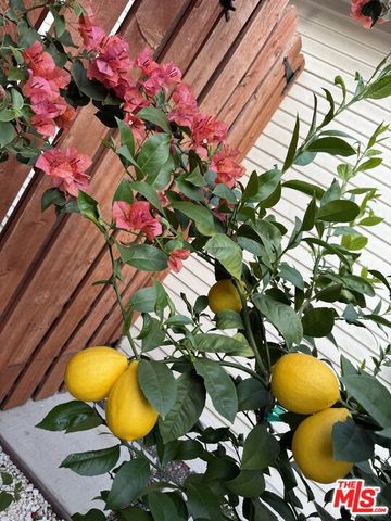 531 Burchett Street, Glendale, CA 91203