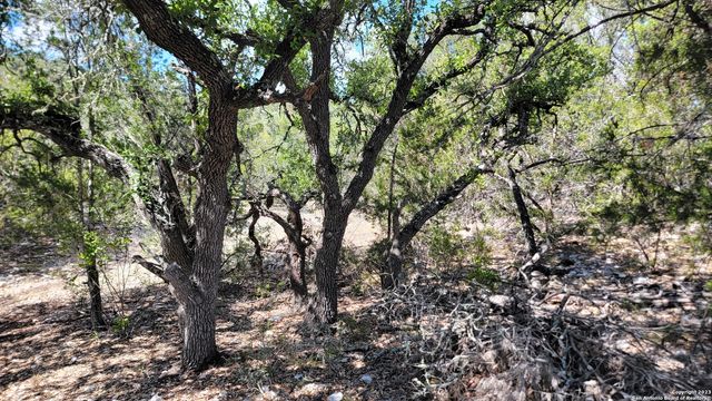 000 Stagecoach, Rocksprings, TX 78880