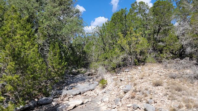 000 Stagecoach, Rocksprings, TX 78880