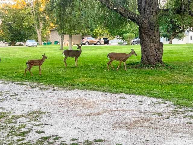 710 Short Street, Streator, IL 61364