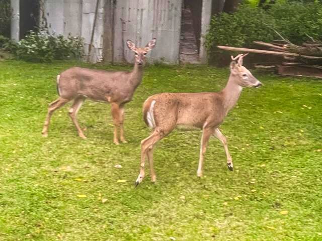 710 Short Street, Streator, IL 61364