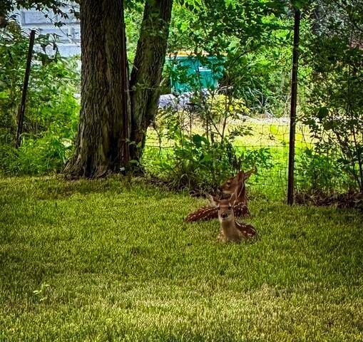 710 Short Street, Streator, IL 61364