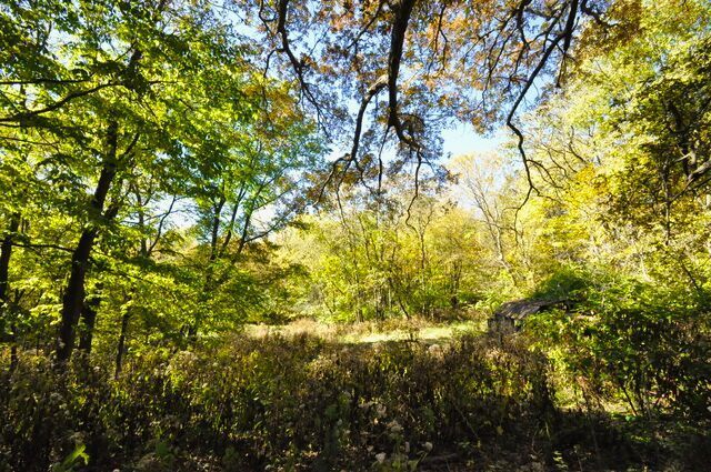 710 Short Street, Streator, IL 61364