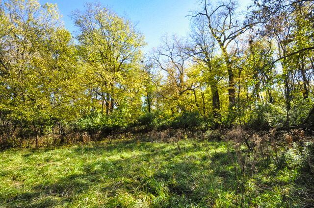 710 Short Street, Streator, IL 61364