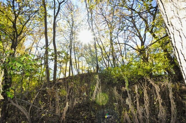 710 Short Street, Streator, IL 61364