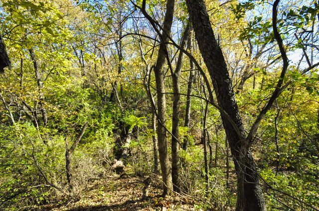 710 Short Street, Streator, IL 61364