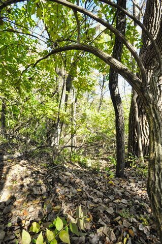 710 Short Street, Streator, IL 61364