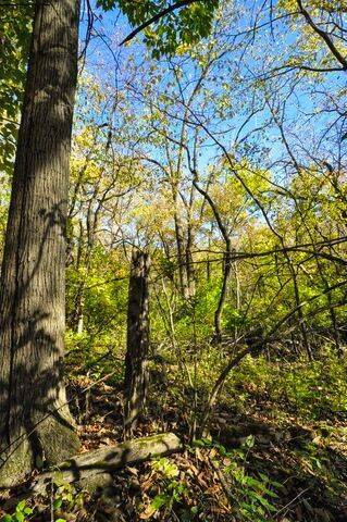 710 Short Street, Streator, IL 61364