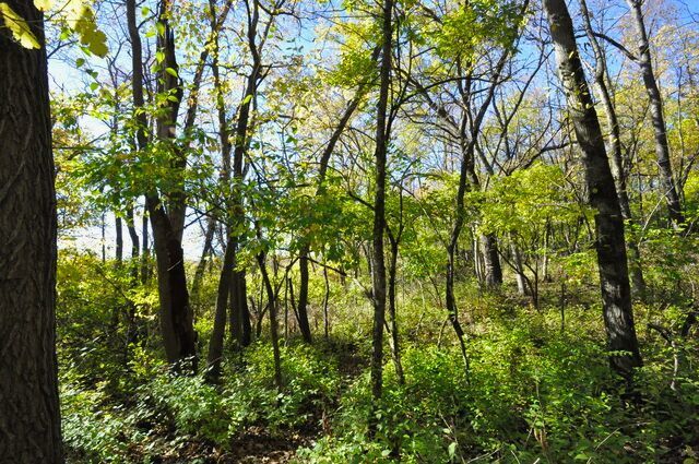 710 Short Street, Streator, IL 61364