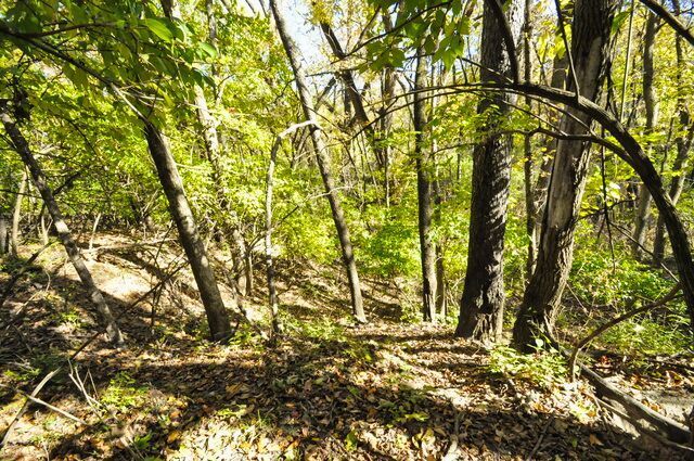 710 Short Street, Streator, IL 61364