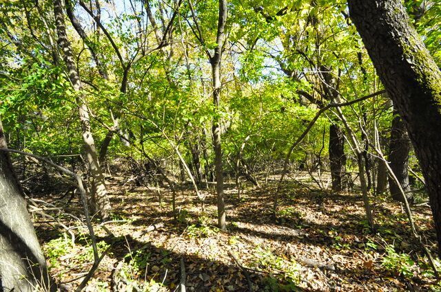 710 Short Street, Streator, IL 61364