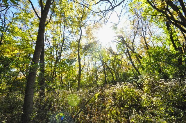 710 Short Street, Streator, IL 61364