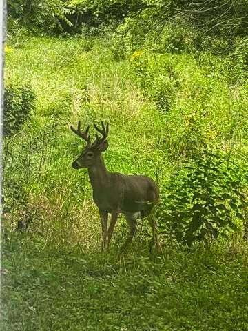 710 Short Street, Streator, IL 61364