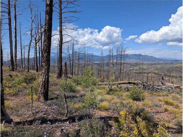 349 MacNaughton Dr, Fort Garland, CO 81133