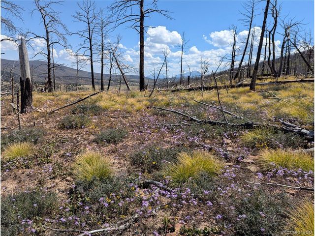 349 MacNaughton Dr, Fort Garland, CO 81133