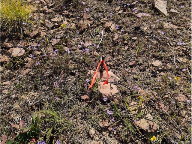 349 MacNaughton Dr, Fort Garland, CO 81133