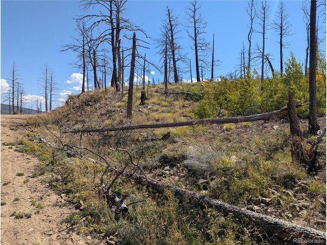 349 MacNaughton Dr, Fort Garland, CO 81133