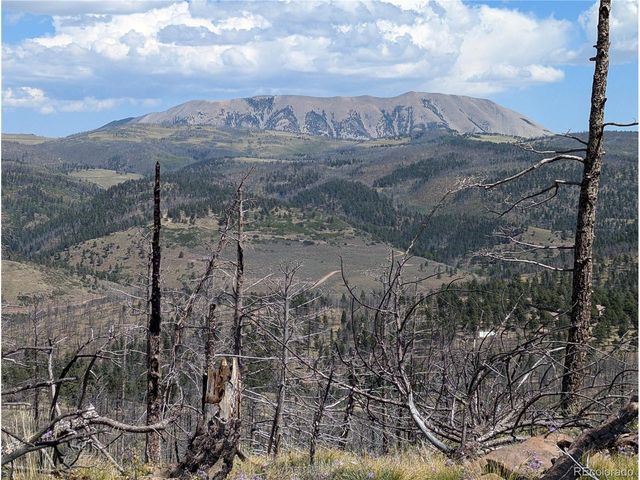 349 MacNaughton Dr, Fort Garland, CO 81133