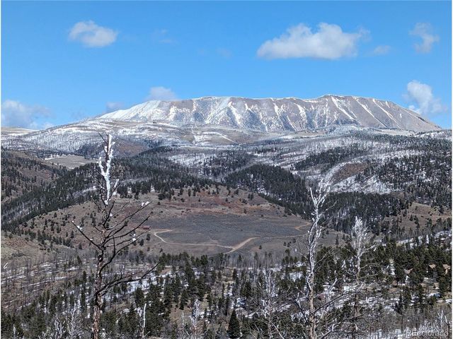 349 MacNaughton Dr, Fort Garland, CO 81133