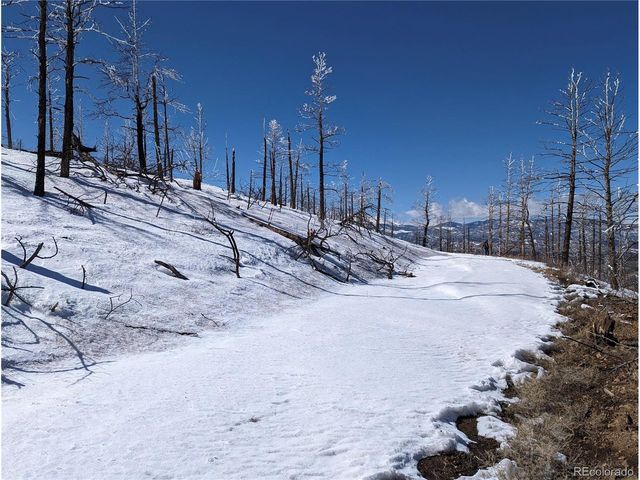 349 MacNaughton Dr, Fort Garland, CO 81133