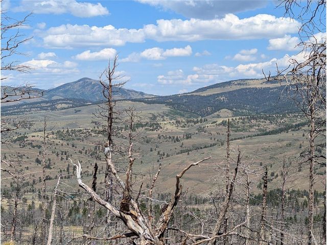 349 MacNaughton Dr, Fort Garland, CO 81133