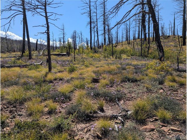 349 MacNaughton Dr, Fort Garland, CO 81133