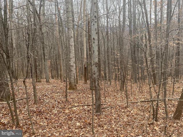 0 DOGWOOD LANE, Nellysford, VA 22958