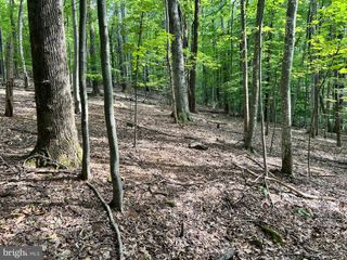 0 DOGWOOD LANE, Nellysford, VA 22958