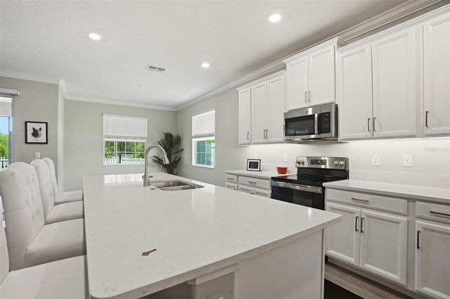 17135 SHELL BAY DRIVE, Land O Lakes, FL 34638