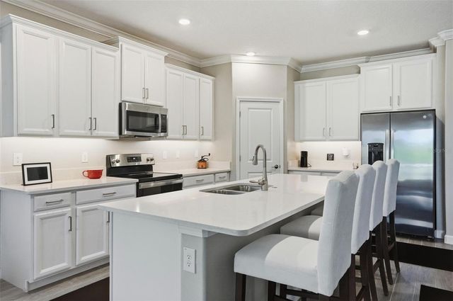 17135 SHELL BAY DRIVE, Land O Lakes, FL 34638