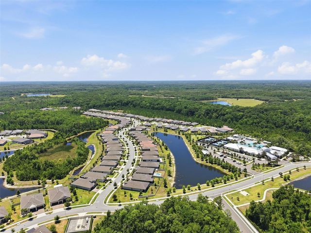 17135 SHELL BAY DRIVE, Land O Lakes, FL 34638