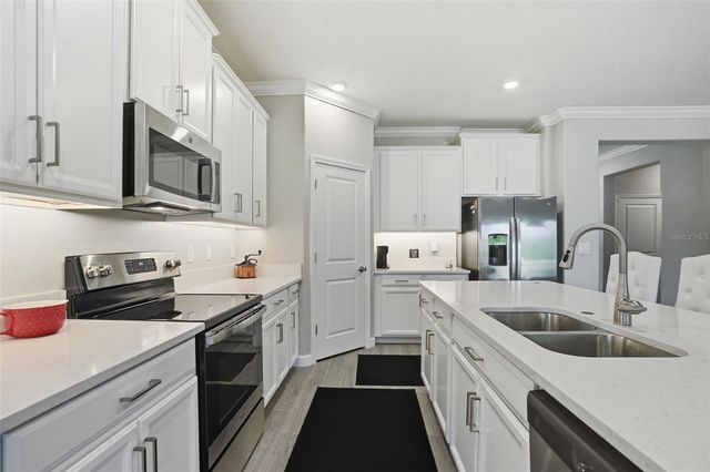 17135 SHELL BAY DRIVE, Land O Lakes, FL 34638