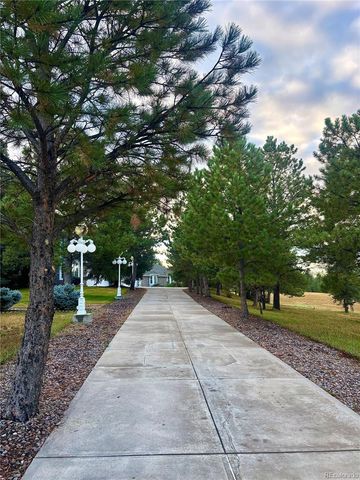 11421 Random Valley Circle, Parker, CO 80134