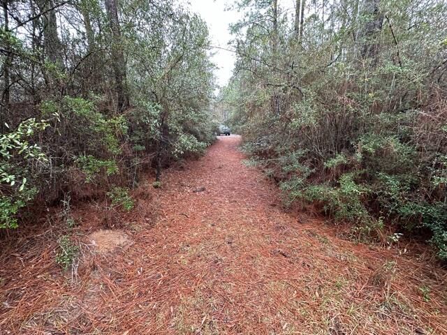 00 Pennington Road, Crestview, FL 32539