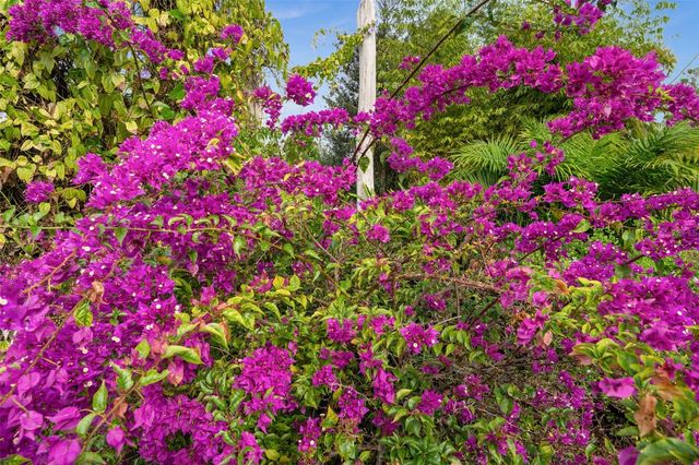 15380 SUNKIST DRIVE, Punta Gorda, FL 33955