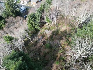 Elk Mountain Rd 4200, Yachats, OR 97498